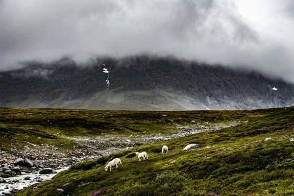 Explore the best uk campsites with convenient public transport links: your essential adventure guide